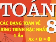 Các dạng toán về Phương trình bậc nhất một ẩn và bài tập vận dụng - Toán lớp 8